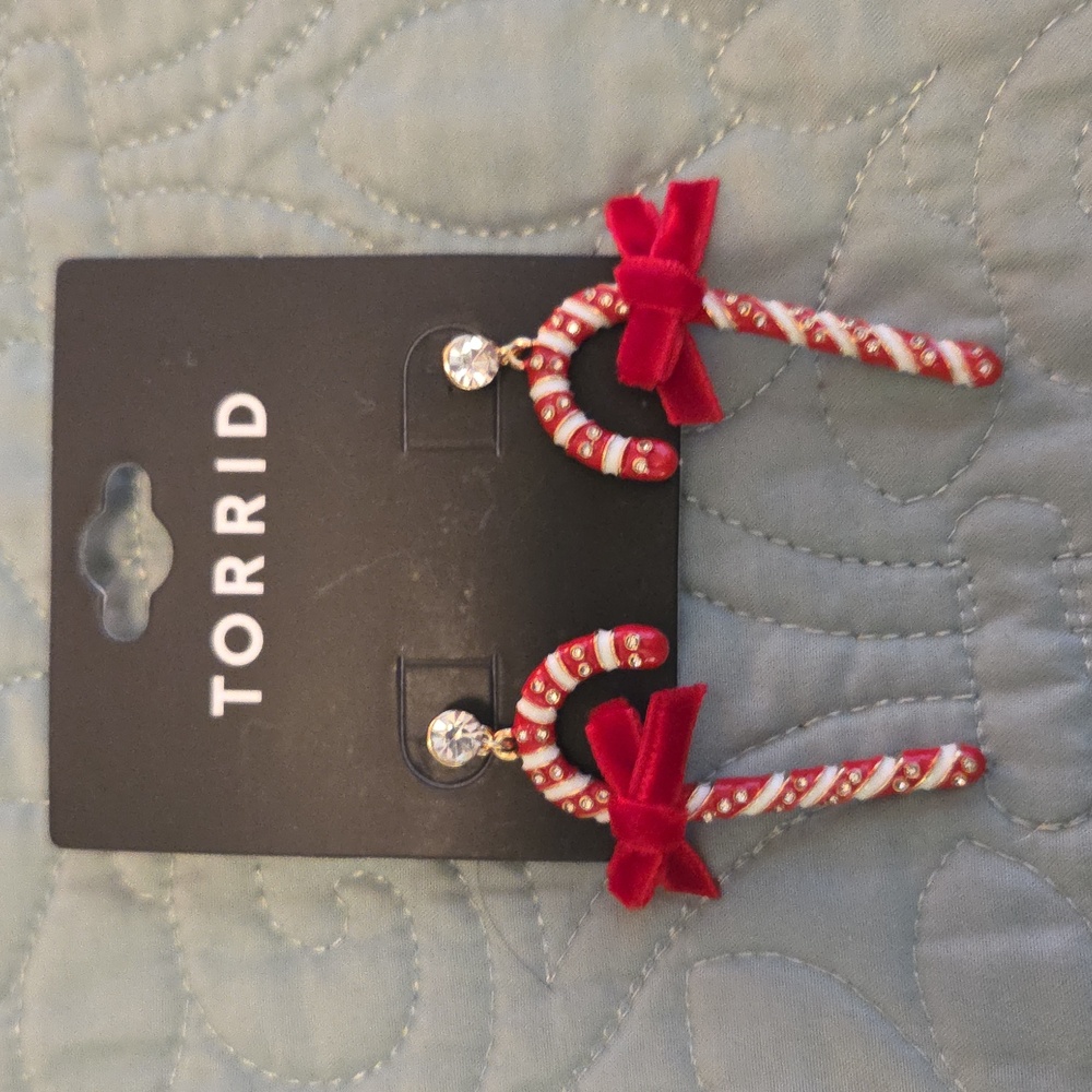 *DONATE 4/19*                                             NWT TORRID CC EARRINGS